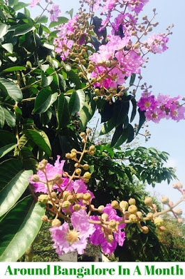 Visit Bangalore Summer
