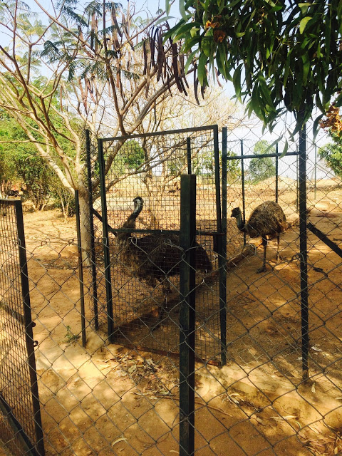 Visit Bangalore Jain Farms Bagalur
