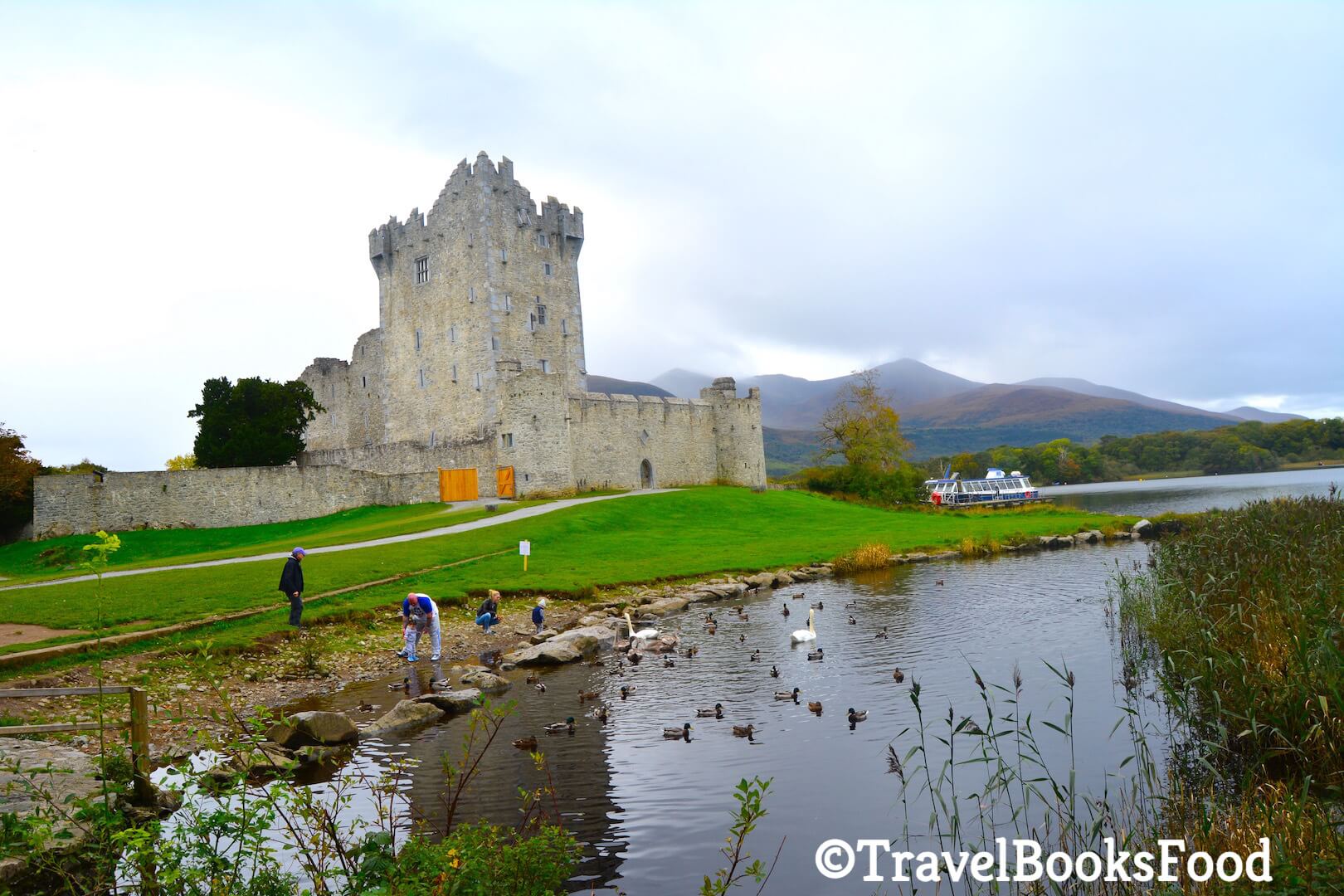 A Picture of Ross Castle in Killarney with few people feeding the swans in front of the castle