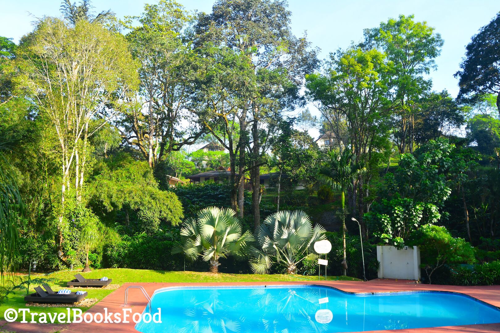 Swimming Pool surrounded by lots of big green trees in Kerala, India