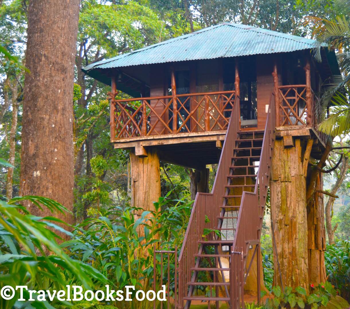 Picture of a tree house in Kerala, India