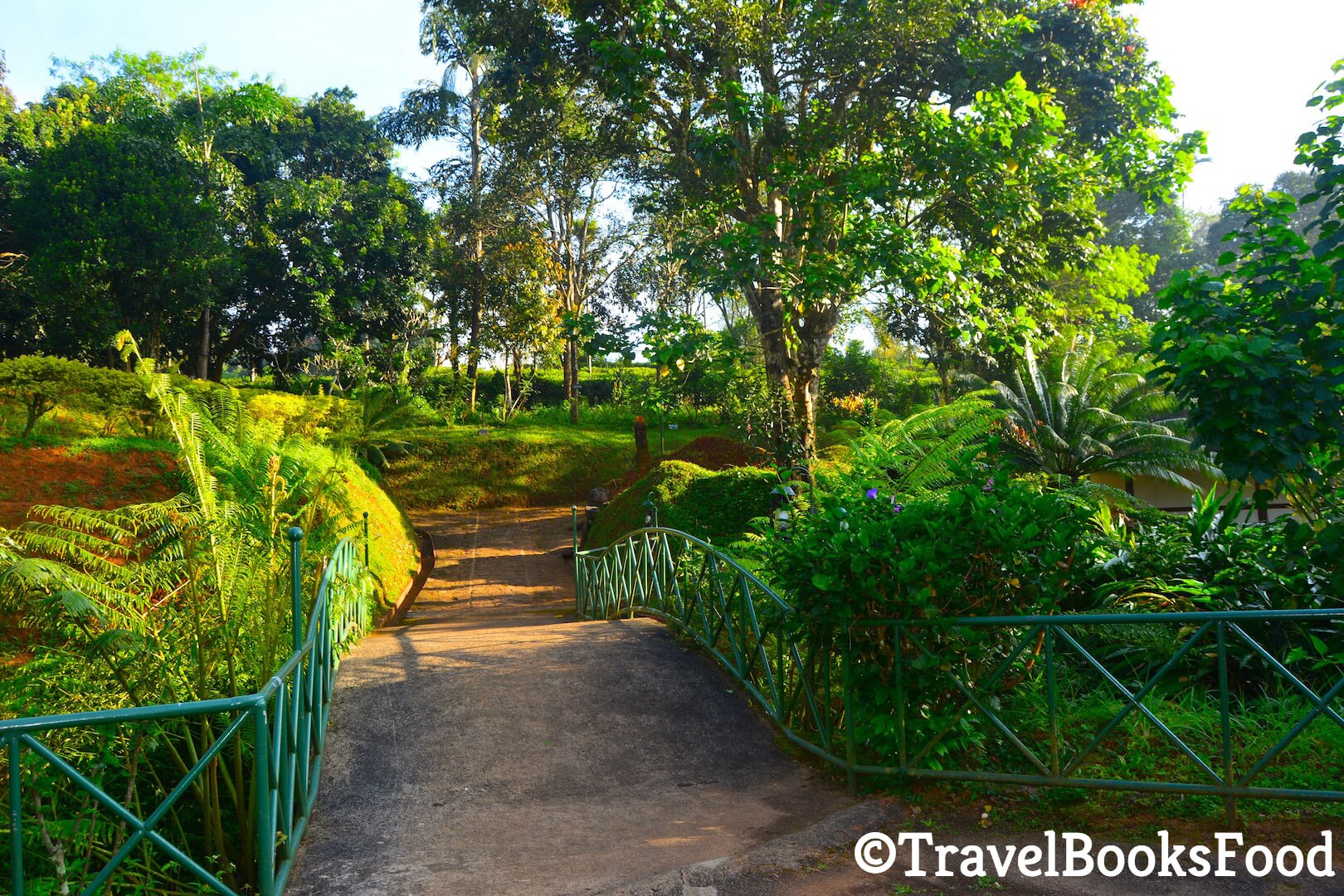 A pathway surrounded by lots of greenery in Kerala, India