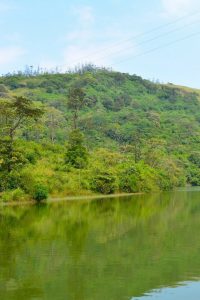 Carmelia Haven Thekkady | Carmelia Haven Resort, Thekkady | Carmelia Haven Plantation Resort | Resorts in Kerala, India | Luxury Resorts in India | Luxury Resorts in Kerala | Cardamom Plantations in India | Tea Plantations in Thekkady | Resorts in Thekkady, Kerala , India