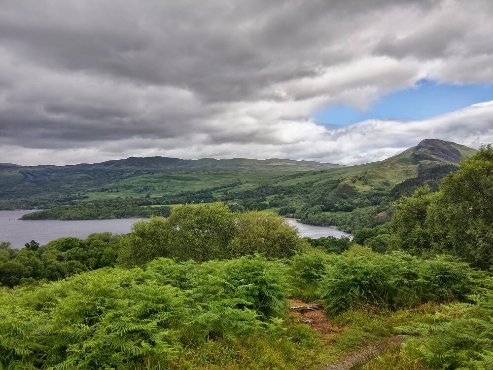 Lots of greenery with a cloudy sky