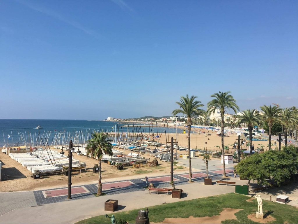 A photo of a promenade with a beach and palm trees