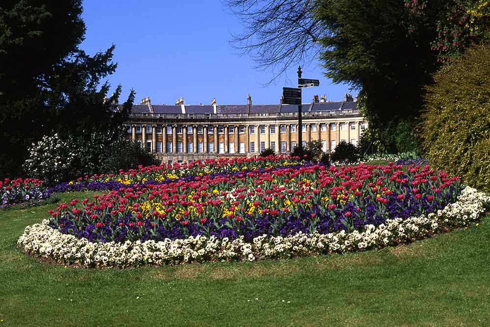 Lots of flowers with a castle in the background