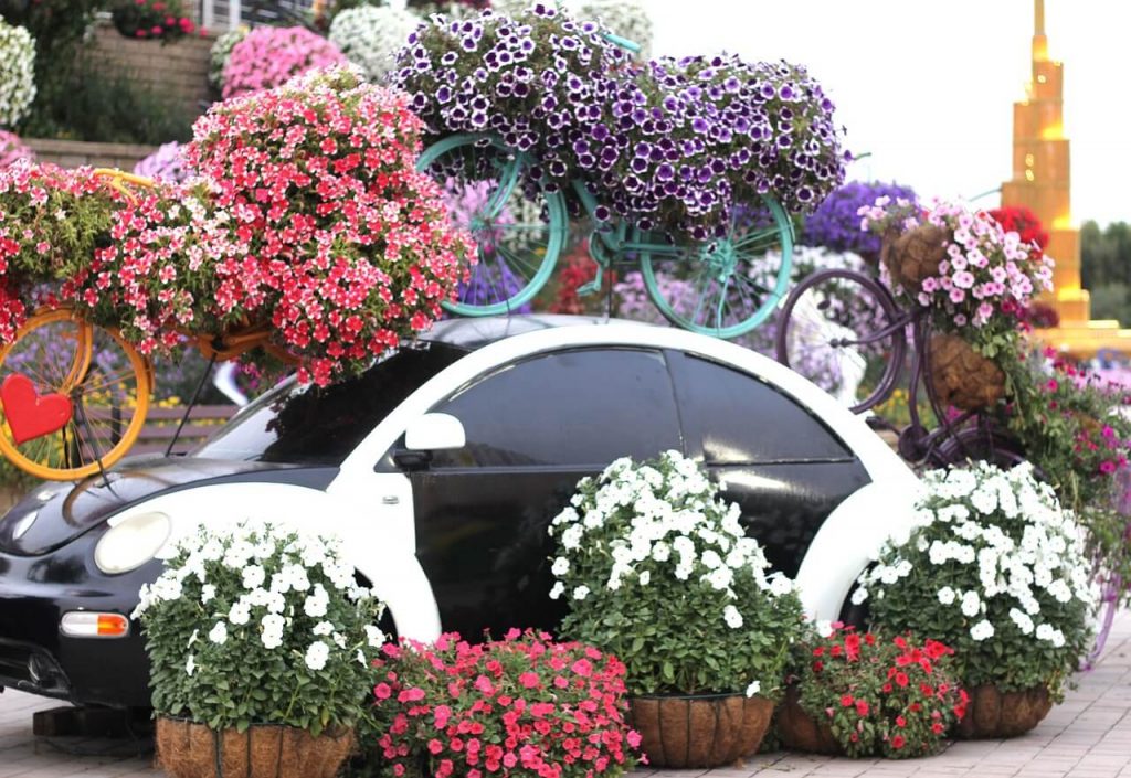 Places_to_visit_in_Dubai_itinerary_Miracle_Garden
