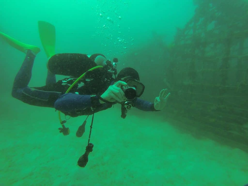 diving 1254890 1280