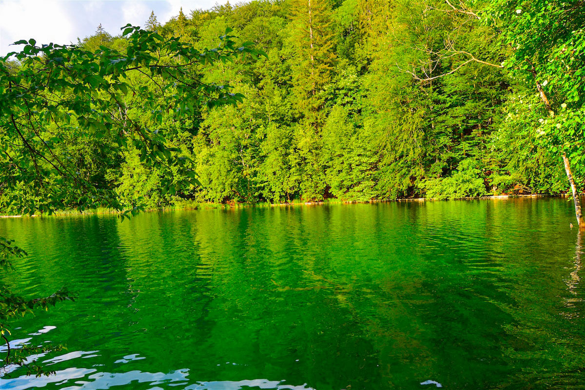 Plitvice Lakes in Croatia