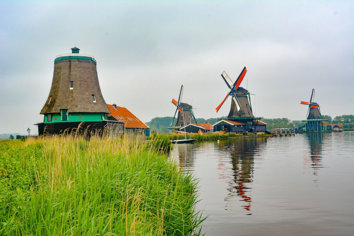 A picture of the Windmills in a village near Amsterdam overlooking green marshes and pristine waters