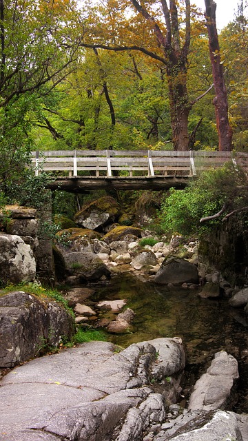 bridge 1982461 640
