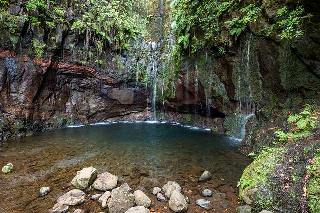 waterfall 4826287 640