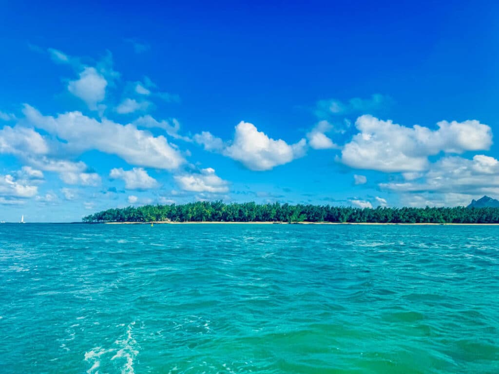 Best_Dinner_Cruises