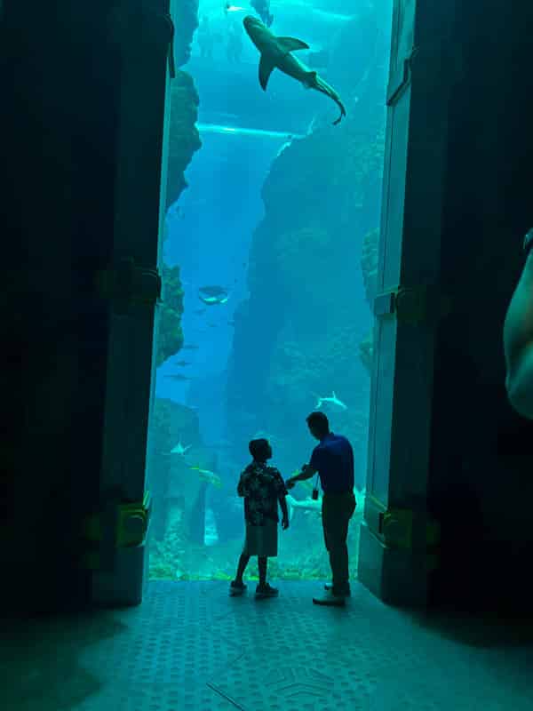 Adventure Activities in Dubai